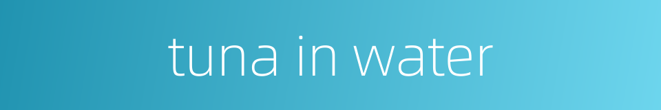tuna in water的同义词