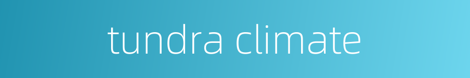 tundra climate的同义词