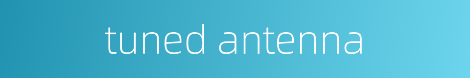 tuned antenna的同义词