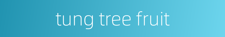 tung tree fruit的同义词