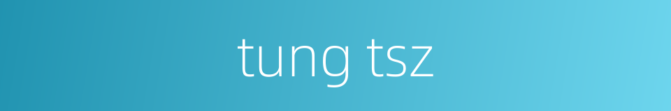 tung tsz的同义词