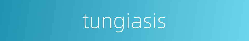 tungiasis的同义词