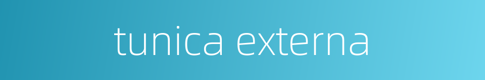 tunica externa的同义词