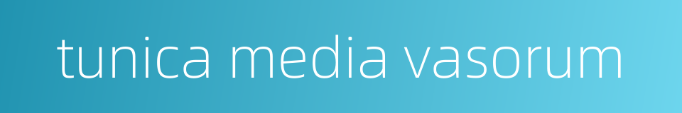 tunica media vasorum的同义词