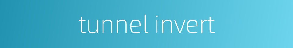tunnel invert的同义词