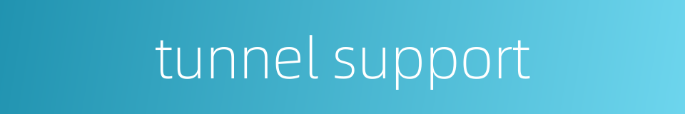 tunnel support的同义词