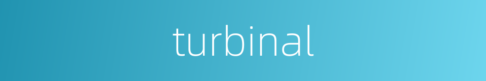 turbinal的同义词