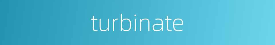 turbinate的同义词