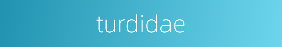 turdidae的同义词