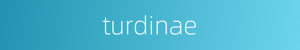 turdinae的同义词