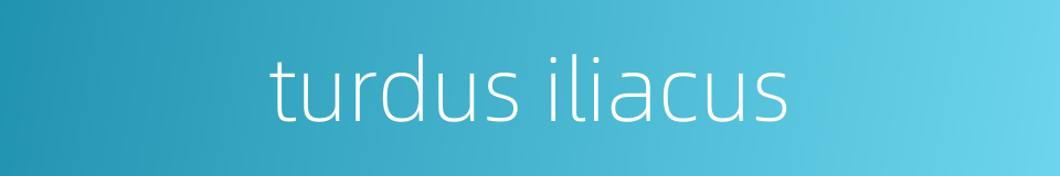 turdus iliacus的同义词