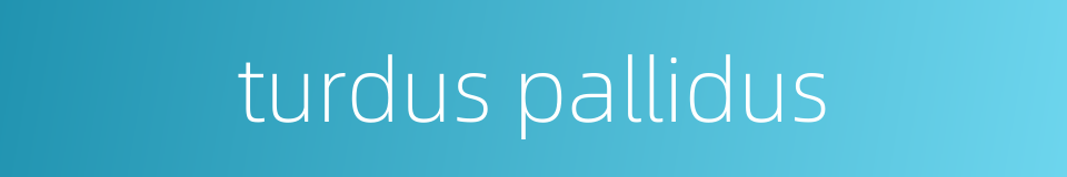 turdus pallidus的同义词