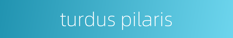 turdus pilaris的同义词