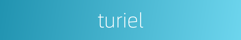 turiel的同义词