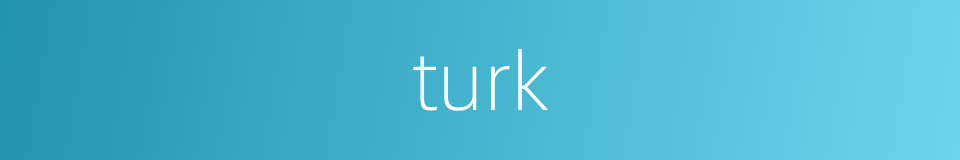 turk的同义词