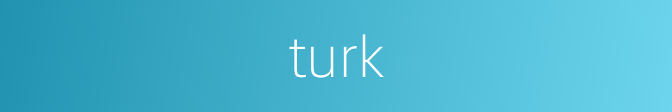 turk的意思