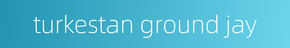 turkestan ground jay的同义词