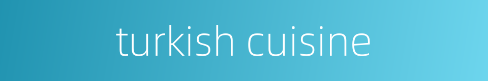 turkish cuisine的同义词