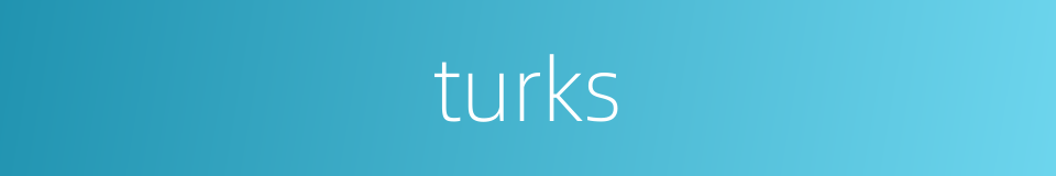 turks的同义词