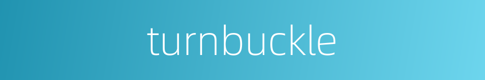 turnbuckle的同义词