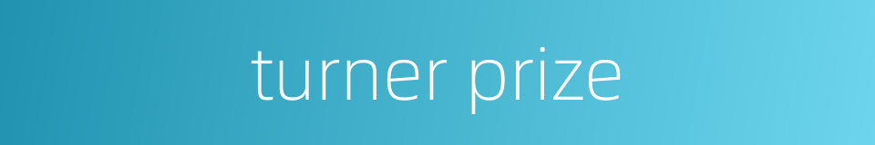 turner prize的同义词