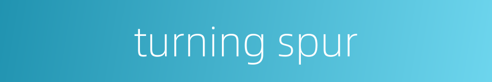 turning spur的同义词