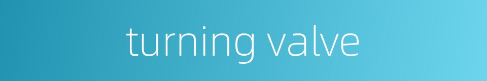 turning valve的同义词