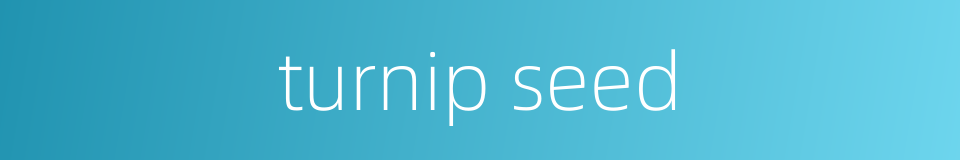 turnip seed的同义词
