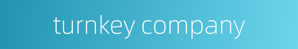 turnkey company的同义词