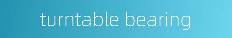 turntable bearing的同义词