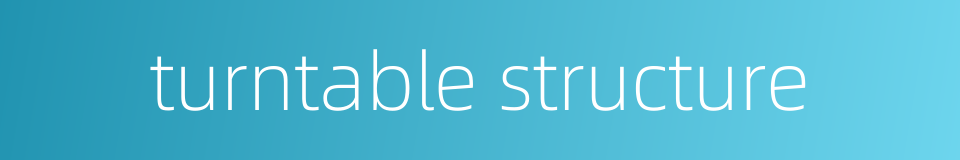 turntable structure的同义词