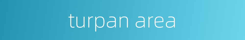 turpan area的同义词