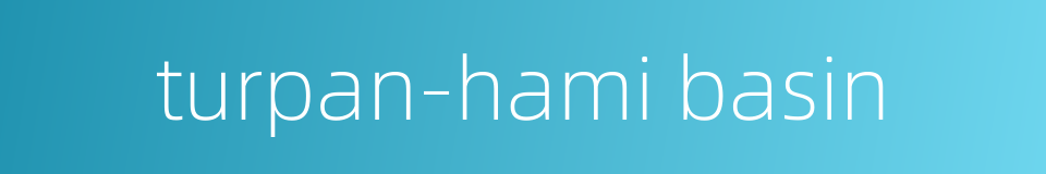 turpan-hami basin的同义词