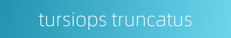 tursiops truncatus的同义词