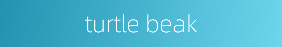 turtle beak的同义词