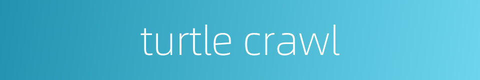turtle crawl的同义词