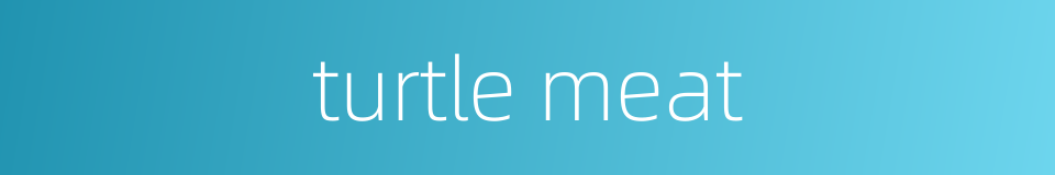 turtle meat的同义词