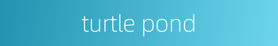 turtle pond的同义词