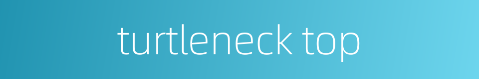 turtleneck top的同义词