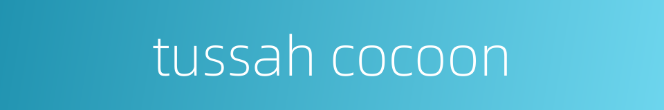 tussah cocoon的同义词