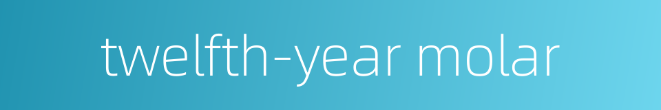 twelfth-year molar的同义词