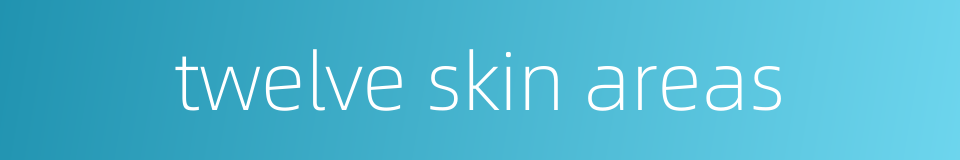 twelve skin areas的同义词