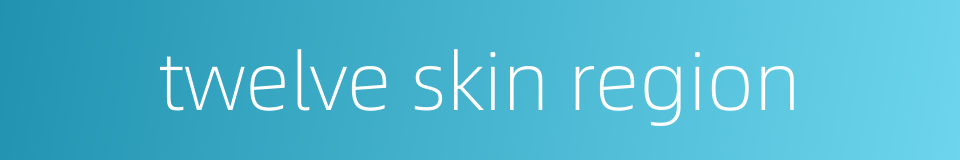 twelve skin region的同义词