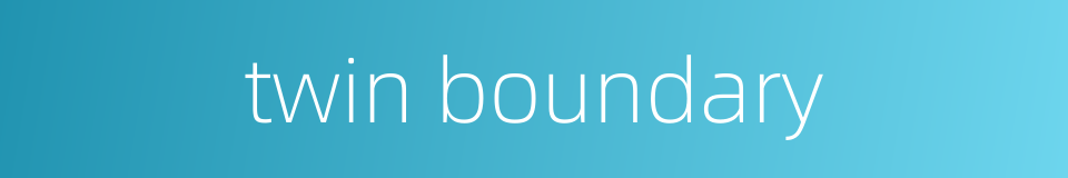 twin boundary的同义词