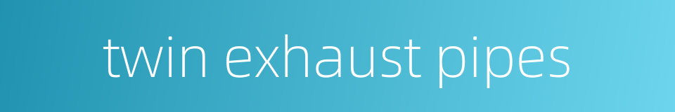 twin exhaust pipes的同义词