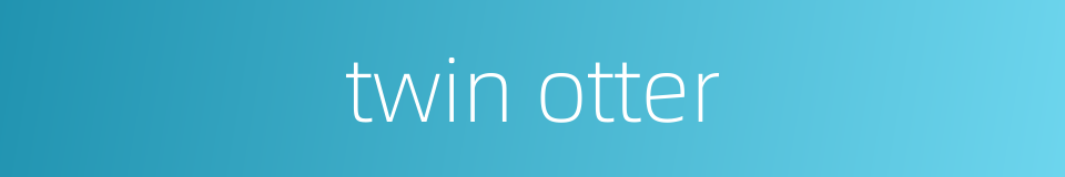 twin otter的同义词