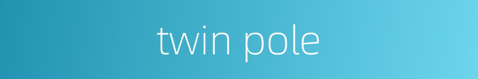 twin pole的同义词