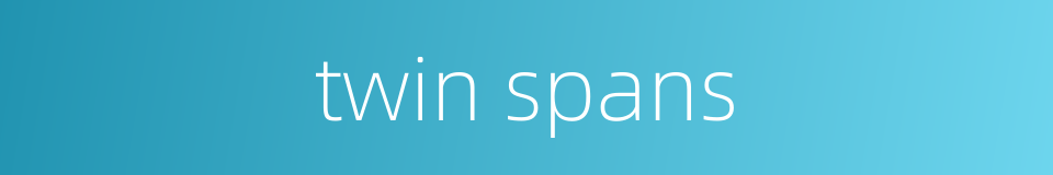 twin spans的同义词