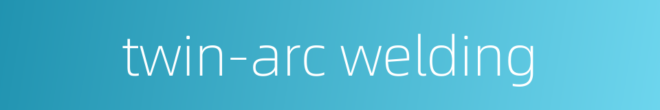 twin-arc welding的同义词