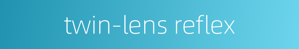 twin-lens reflex的同义词